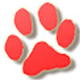 宠物天空 | 猫狗萌宠，宠物资讯，生活日常，以宠物为主的综合类网站平台
